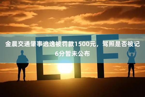 金晨交通肇事逃逸被罚款1500元，驾照是否被记6分暂未公布
