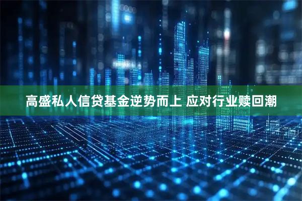 高盛私人信贷基金逆势而上 应对行业赎回潮